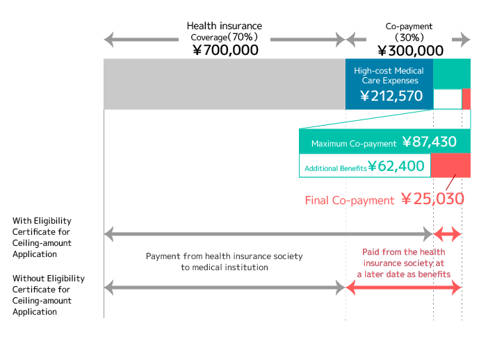 Example Image of High-cost Medical Care Expenses
